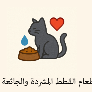 اطعام القطط المشردة والجائعة
