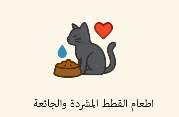 ستكرات اطعام القطط المشردة والجائعة
