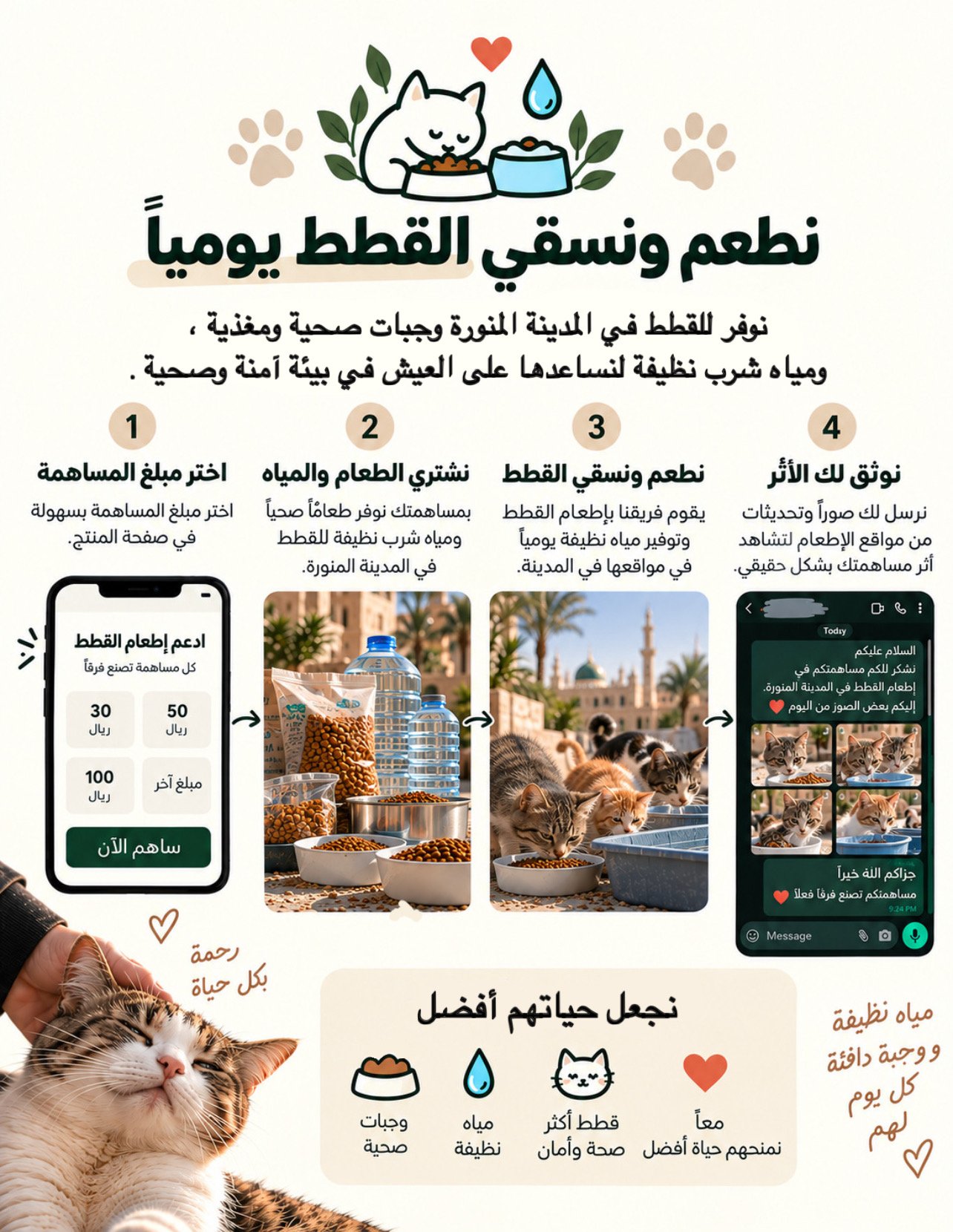 ساهم ب اطعام القطط المشردة والجائعة - الصورة 2