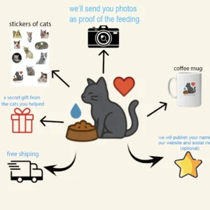 Gifts for Feeding Cats