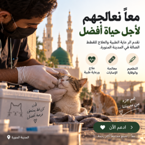 ساهم ب علاج القطط