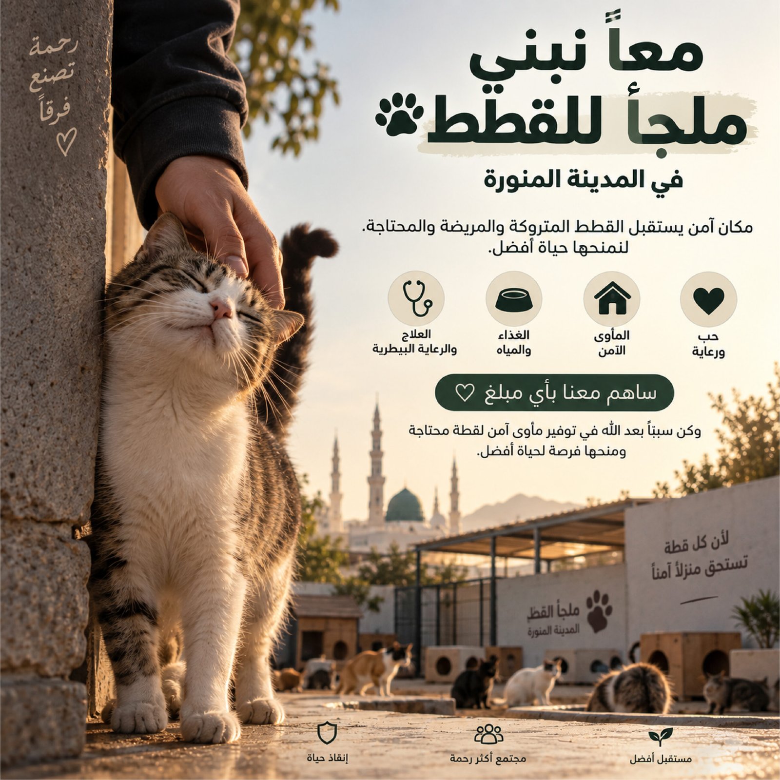 ساهم ببناء ملجأ للقطط المتخلى عنها والمريضه