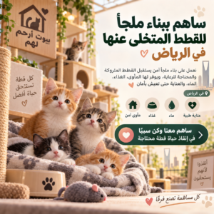 ساهم ببناء ملجأ للقطط المتخلى عنها والمريضه (في الرياض)